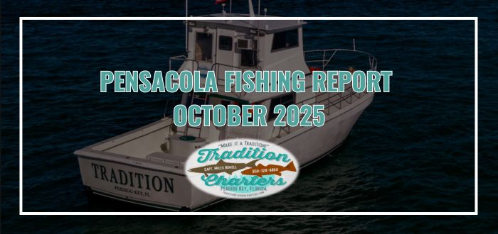 September marks the start of cooler mornings and calmer seas along the Gulf Coast, making it one of the best months to fish in Perdido Key. 