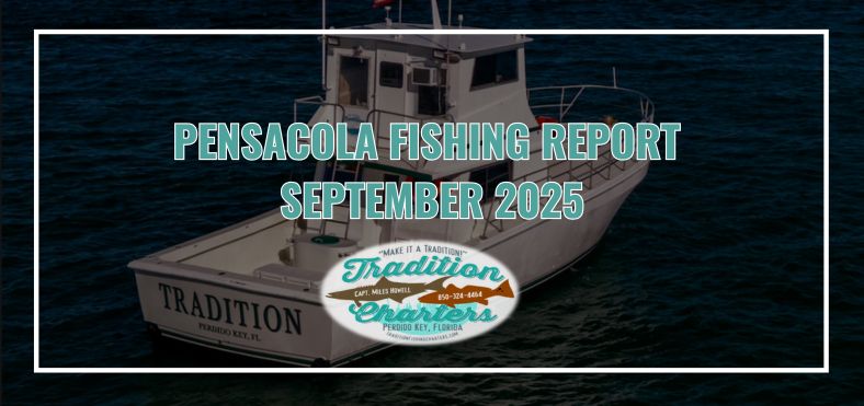 September marks the start of cooler mornings and calmer seas along the Gulf Coast, making it one of the best months to fish in Perdido Key. 