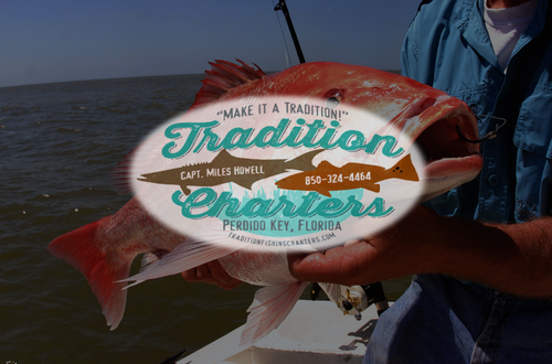 Are you a fan of fishing for red snapper in Florida? Make sure you don't miss out on the federal red snapper season in 2025!