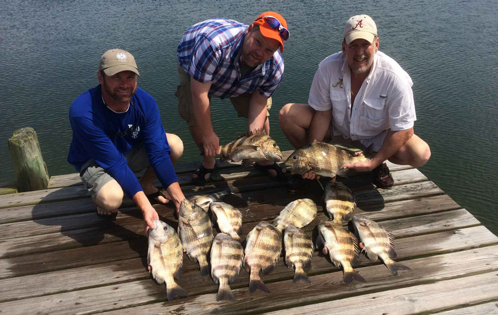 Tradition Fishing Blog