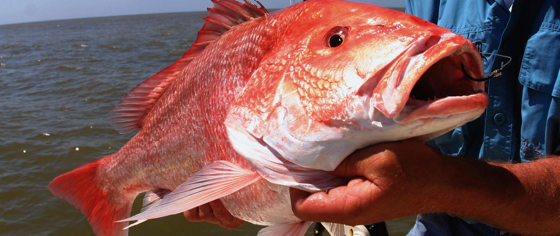 Fishing adventure in the Pensacola