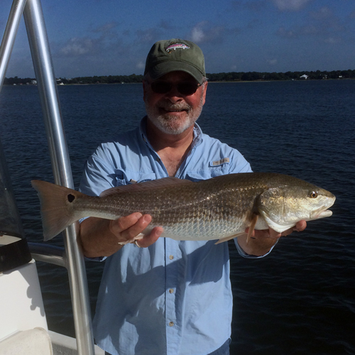 <li>March</li><li>April</li> fish