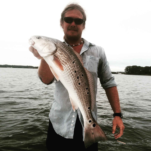 <li>October</li><li>November</li> fish