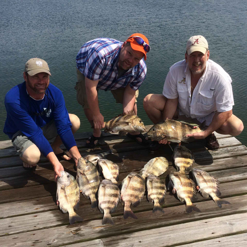 Descriptive image text