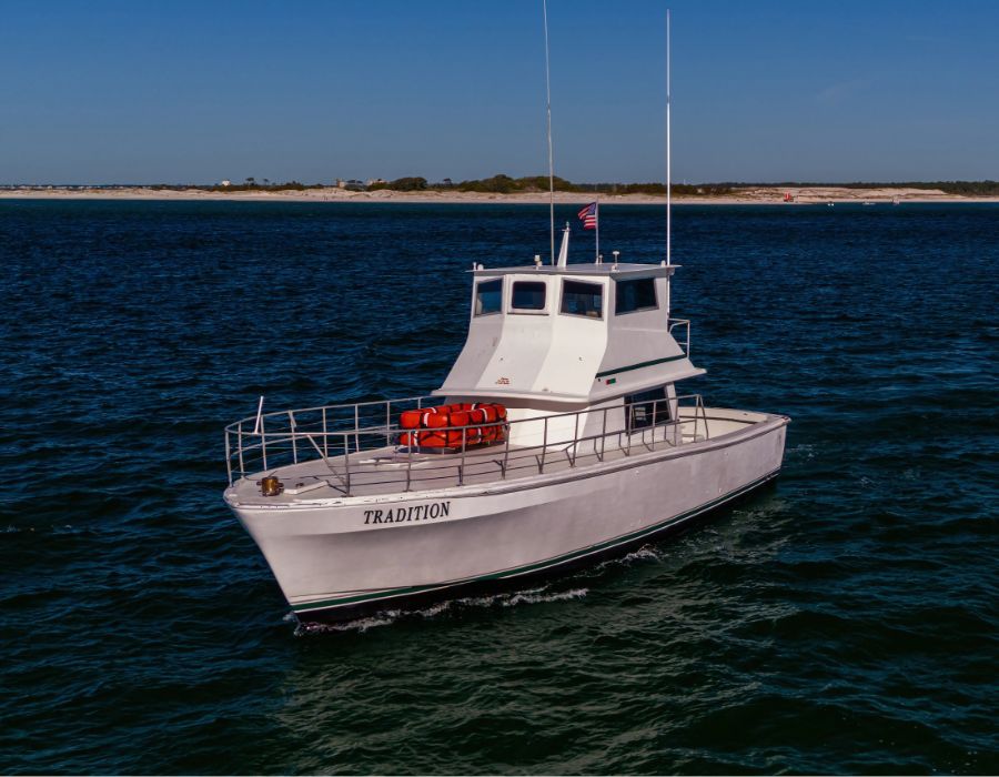 Descriptive image text