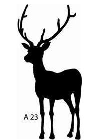 A 23