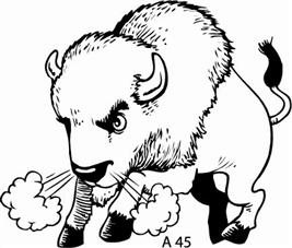 A 45