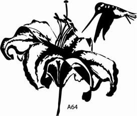 A 64