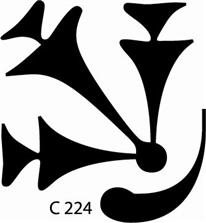 c224