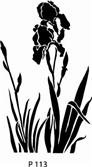 P113