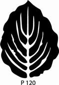 P120