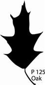 P125