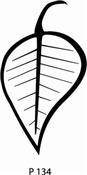 P134