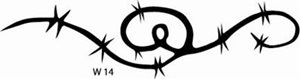 W14