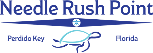 Needle Rush Point Phase I – VII  